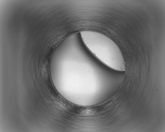 X0000061750460200512021116