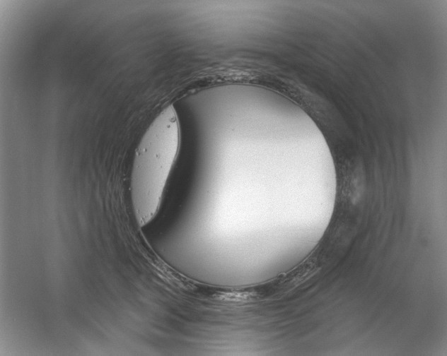 X0000061750465200512021116