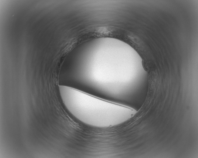 X0000061750467200512021116