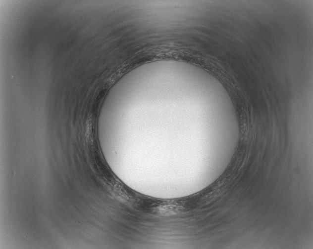 X0000061750468200512021116