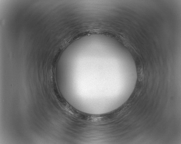 X0000061750472200512021117