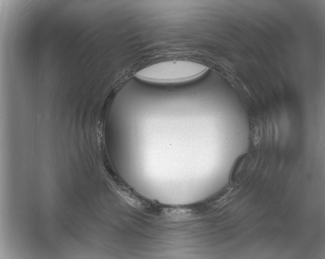 X0000061750476200512021117