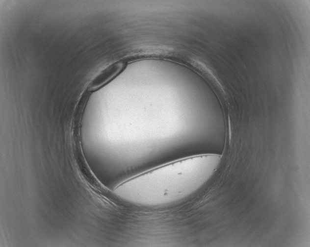 X0000061750483200512021116