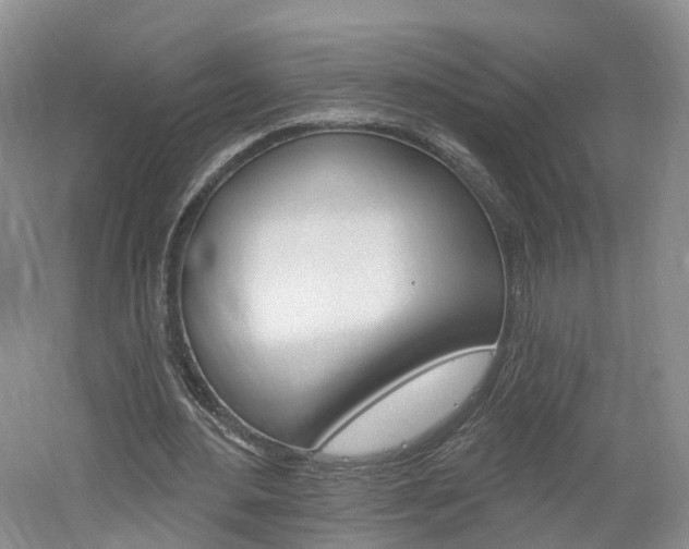X0000061750484200512021116