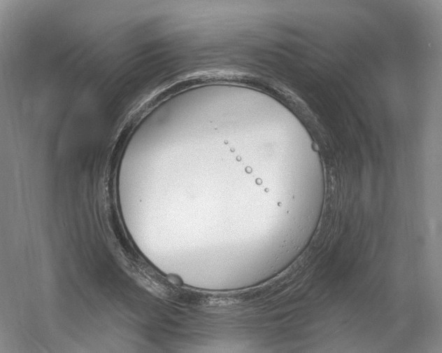 X0000061750487200512021116