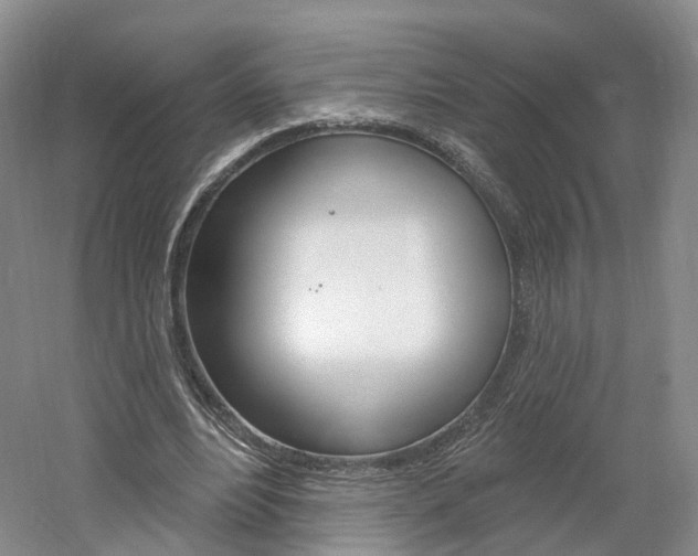 X0000061750488200512021116