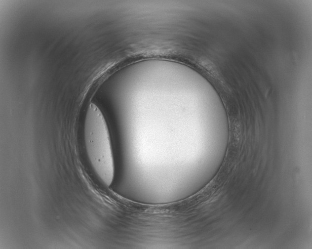 X0000061750491200512021116