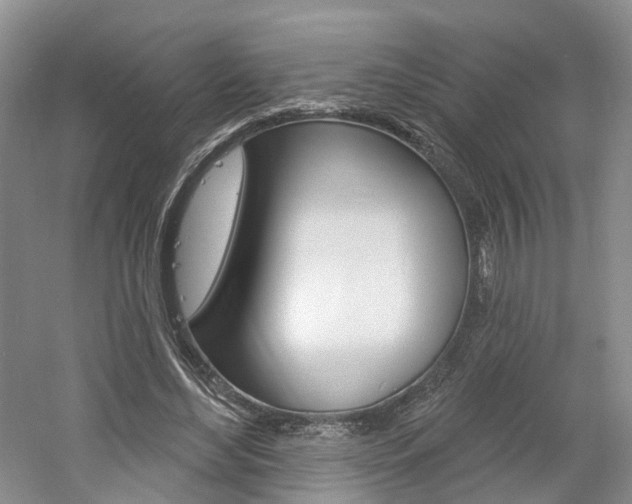 X0000061750492200512021116