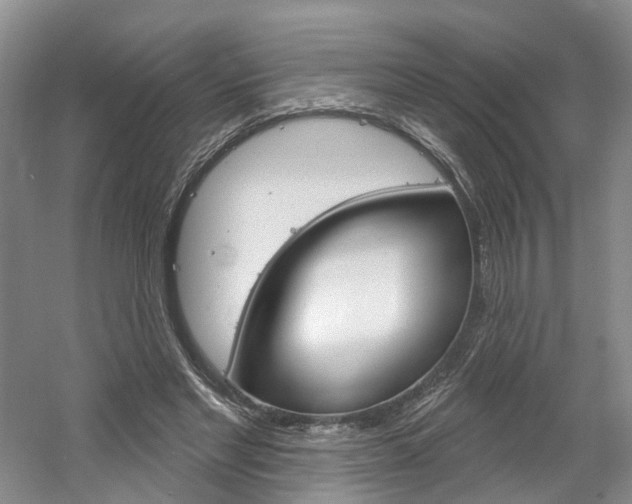 X0000061750493200512021116