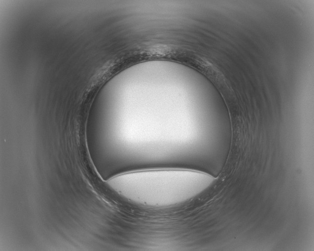 X0000061750496200512021116