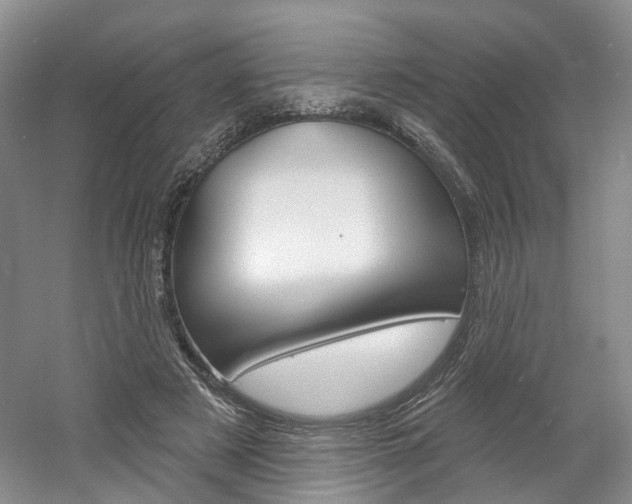 X0000061750497200512021116