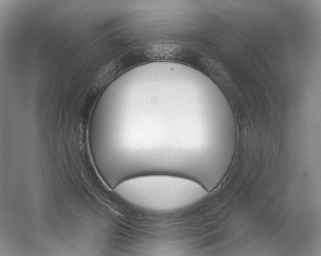 X0000061750498200512021116