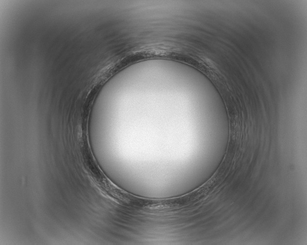 X0000061750500200512021116