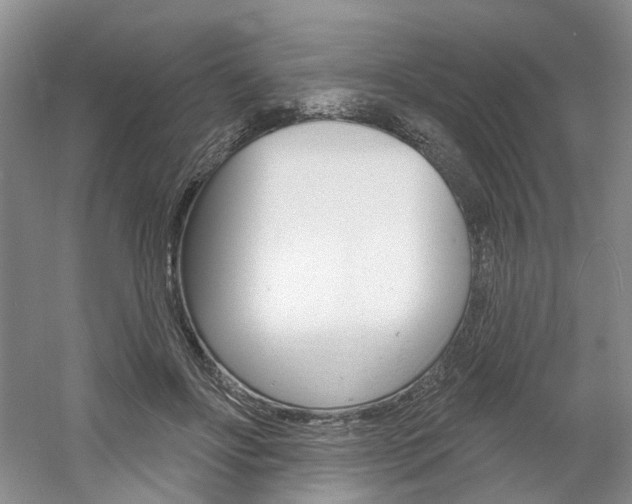 X0000061750502200512021116