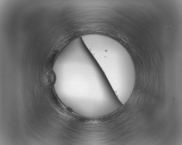 X0000061750503200512021115