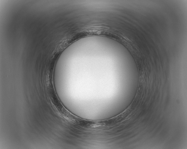 X0000061750504200512021115