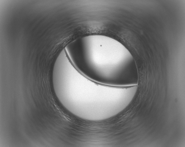 X0000061750505200512021115