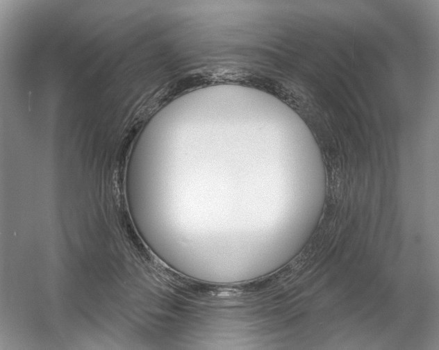 X0000061750506200512021115