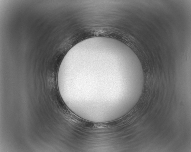 X0000061750510200512021115