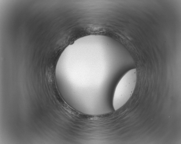 X0000061750515200512021115