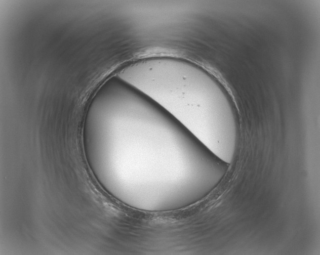X0000061750529200512021114