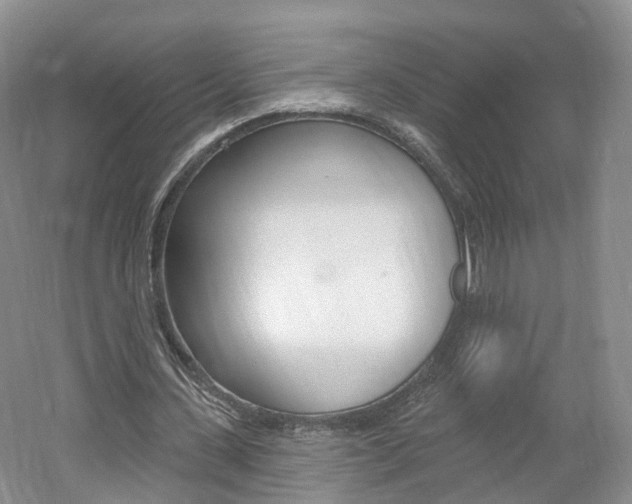 X0000061750531200512021114