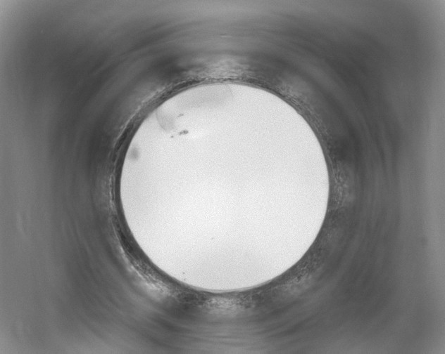 X0000061750534200512021114