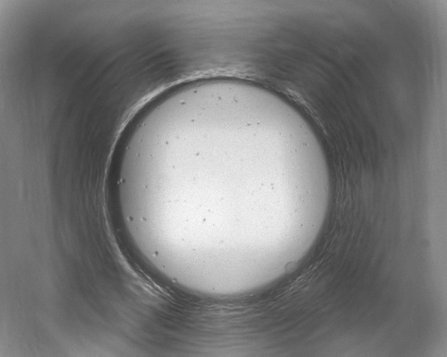 X0000061750536200512021114