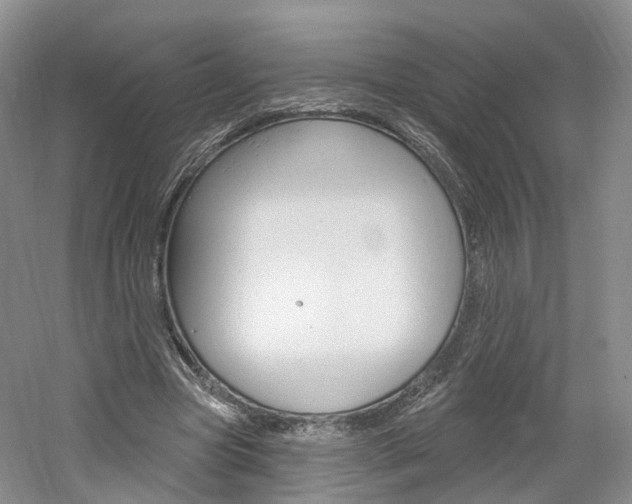 X0000061750537200512021114