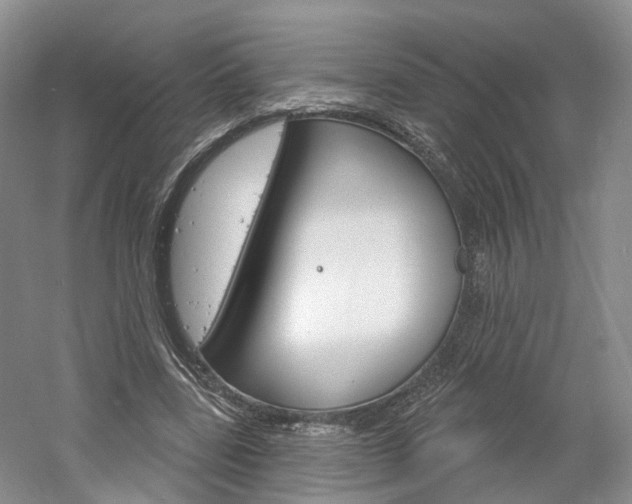 X0000061750539200512021114