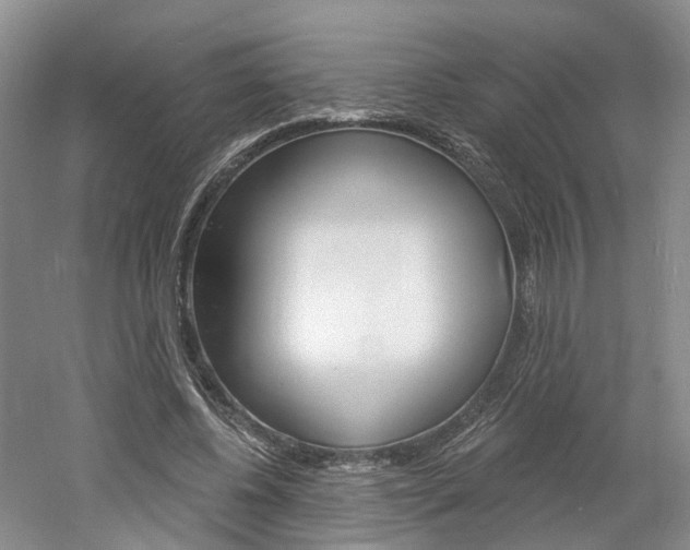 X0000061750540200512021114
