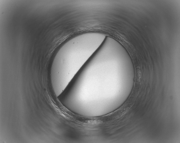 X0000061750541200512021114