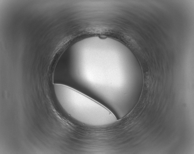 X0000061750544200512021114