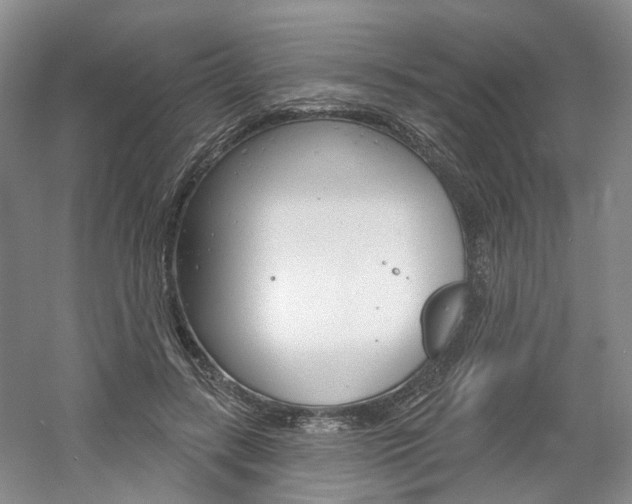 X0000061750547200512021115
