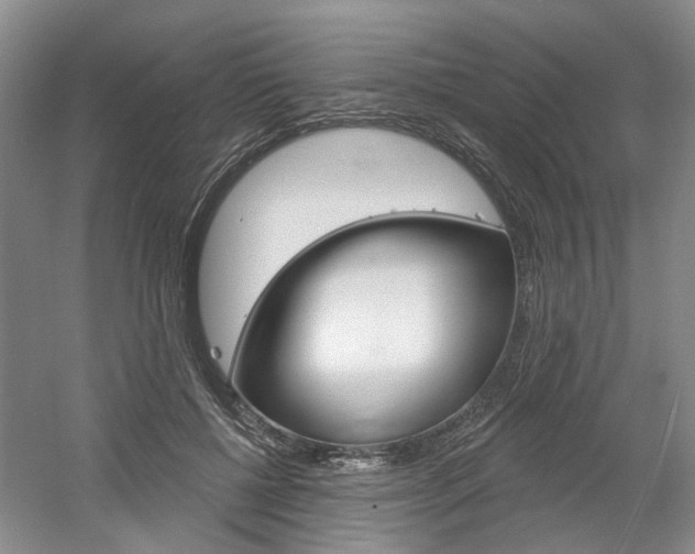X0000061750552200512021115