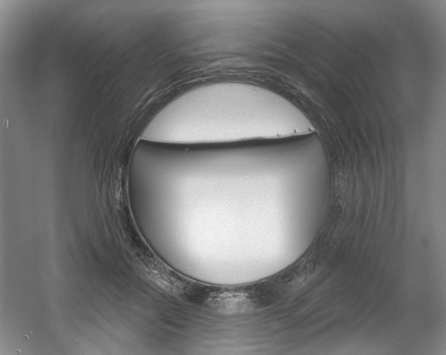 X0000061750554200512021115