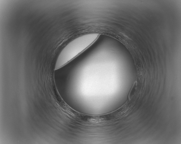 X0000061750556200512021115