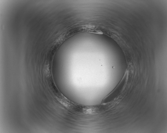 X0000061750564200512021115