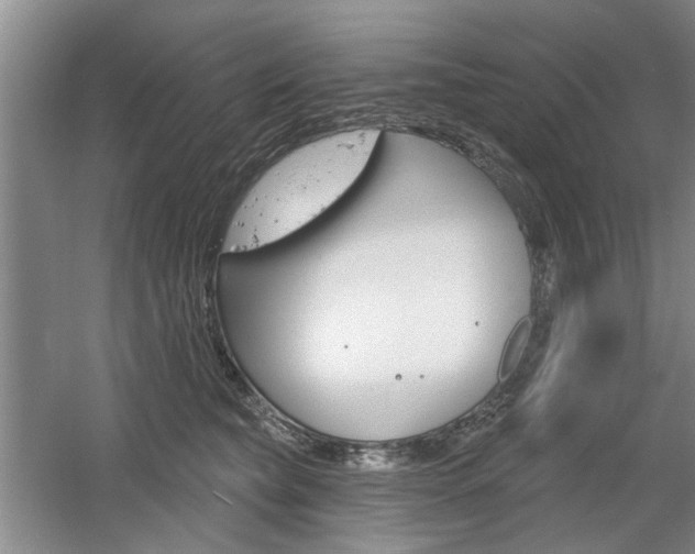 X0000061750565200512021115