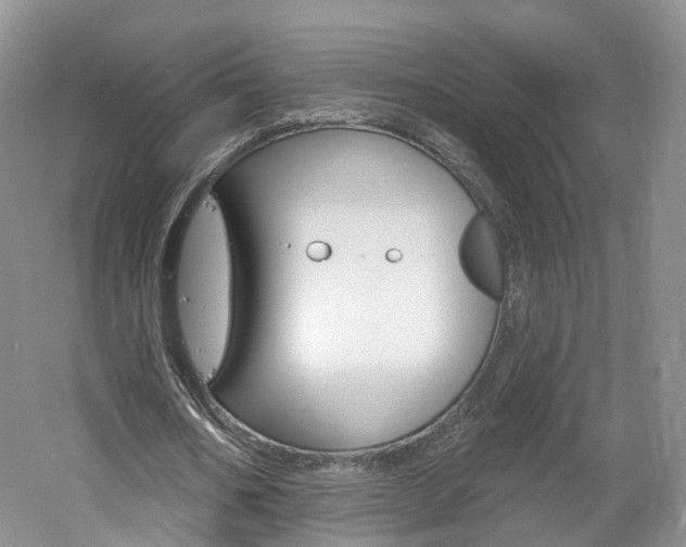 X0000061750578200512021114
