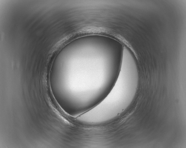 X0000061750581200512021114