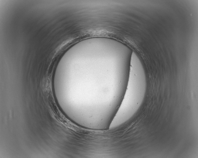 X0000061750583200512021114