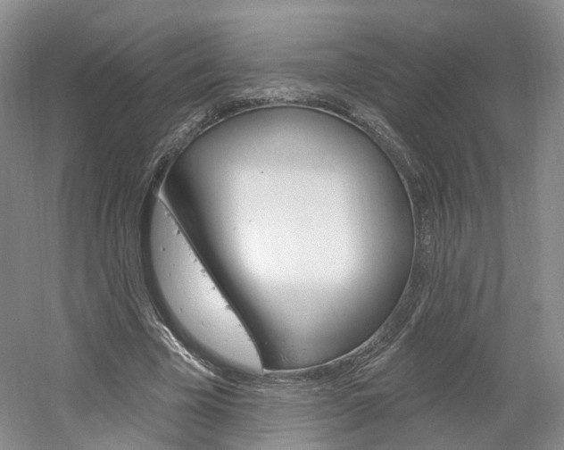 X0000061750585200512021114