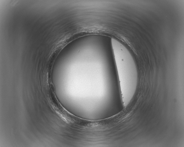 X0000061750589200512021114