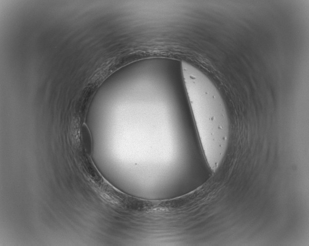 X0000061750593200512021114