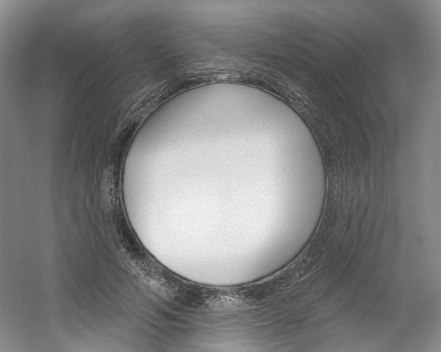 X0000061750594200512021114
