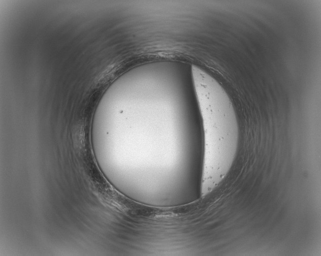 X0000061750595200512021114