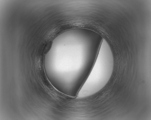 X0000061750597200512021114