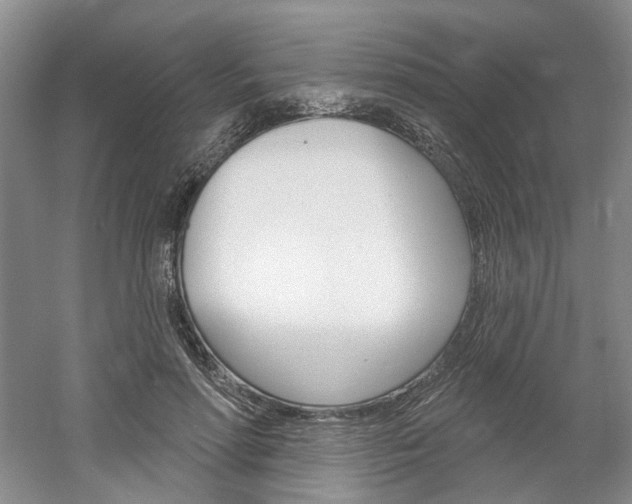 X0000061750598200512021114