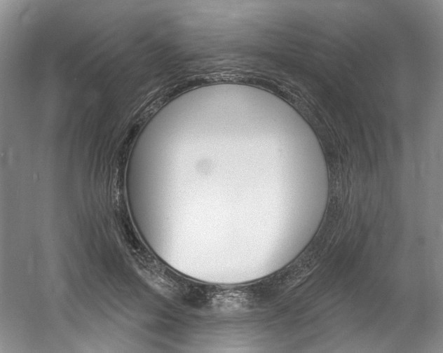 X0000061750599200512021114